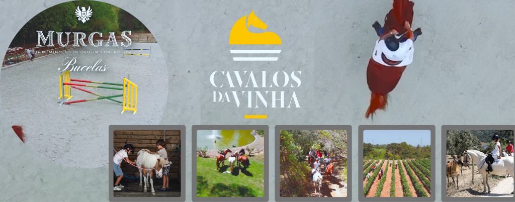 diversão para toda a familia a cavalo